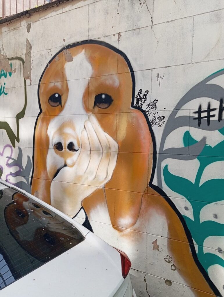street art Kadıköy dog mural